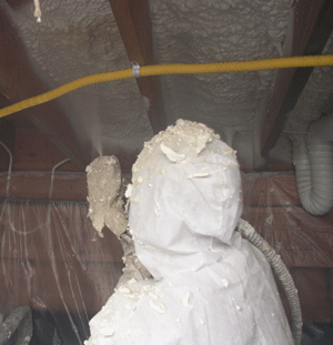 Saskatoon SK crawl space insulation